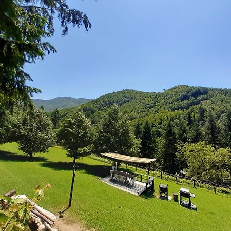 Il Bosco Di Campo Marzano Rooms & Apartments Borzonasca Eksteriør billede