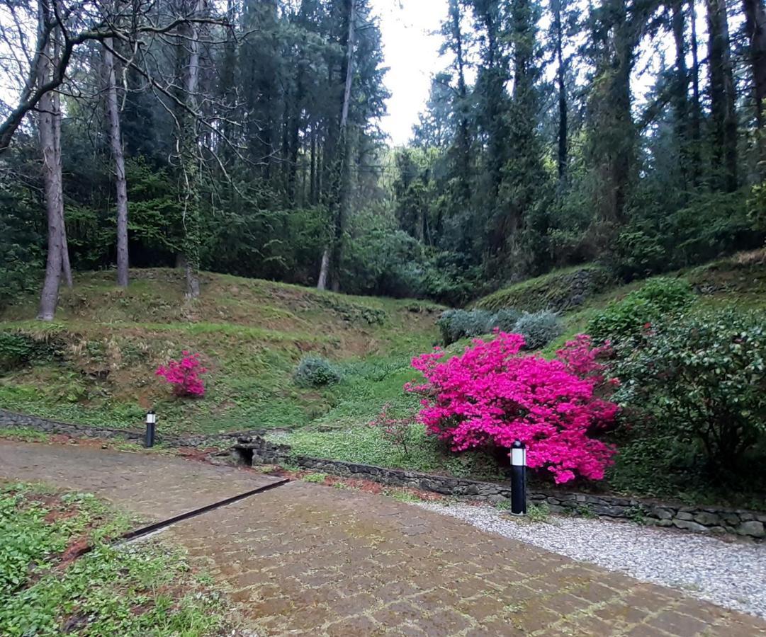 Il Bosco Di Campo Marzano Rooms & Apartments Borzonasca Eksteriør billede