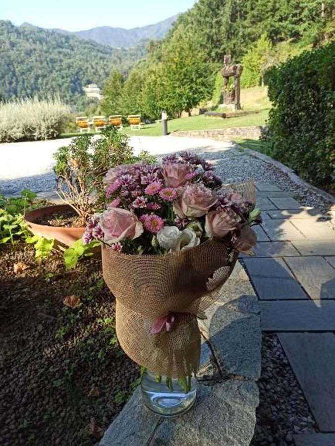 Il Bosco Di Campo Marzano Rooms & Apartments Borzonasca Eksteriør billede