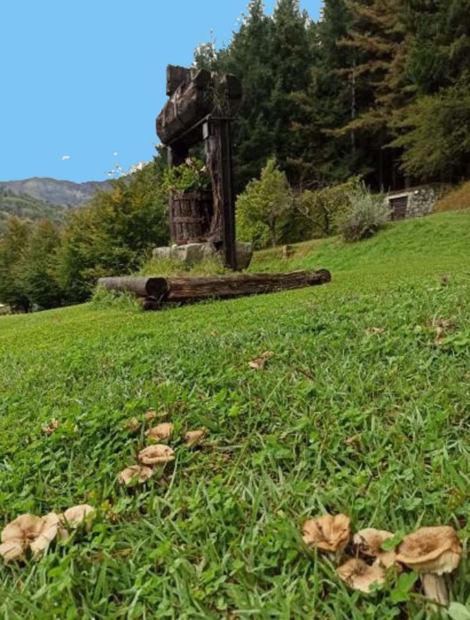 Il Bosco Di Campo Marzano Rooms & Apartments Borzonasca Eksteriør billede