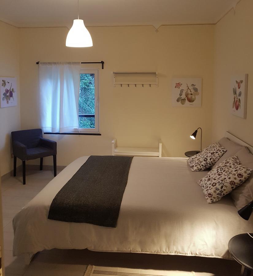 Il Bosco Di Campo Marzano Rooms & Apartments Borzonasca Eksteriør billede