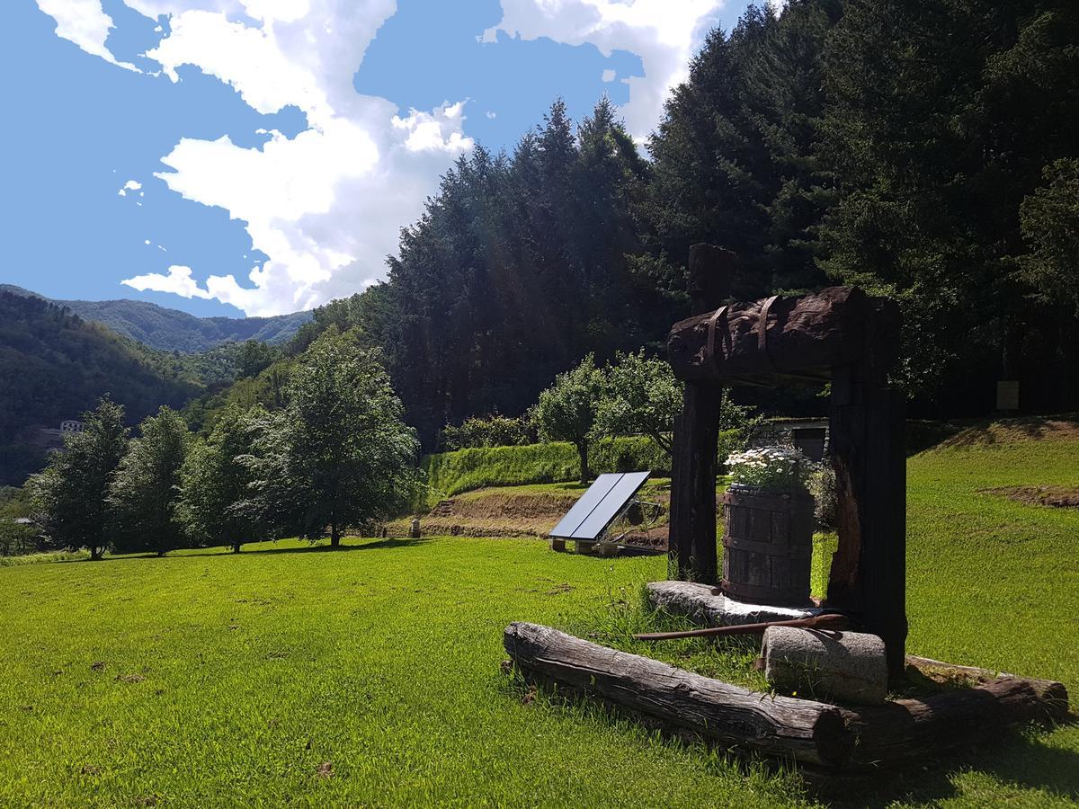 Il Bosco Di Campo Marzano Rooms & Apartments Borzonasca Eksteriør billede
