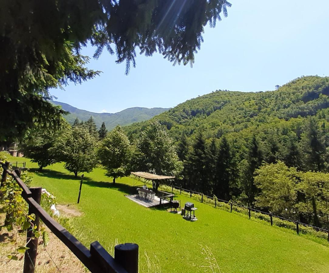 Il Bosco Di Campo Marzano Rooms & Apartments Borzonasca Eksteriør billede